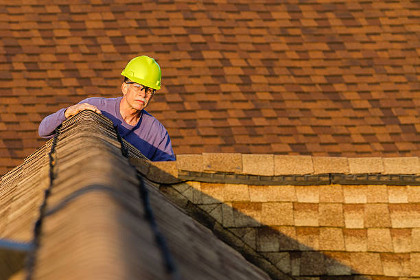 Best Storm Damage Roof Repair  in Harlem, FL