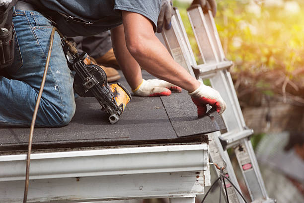 Best Roof Gutter Cleaning  in Harlem, FL